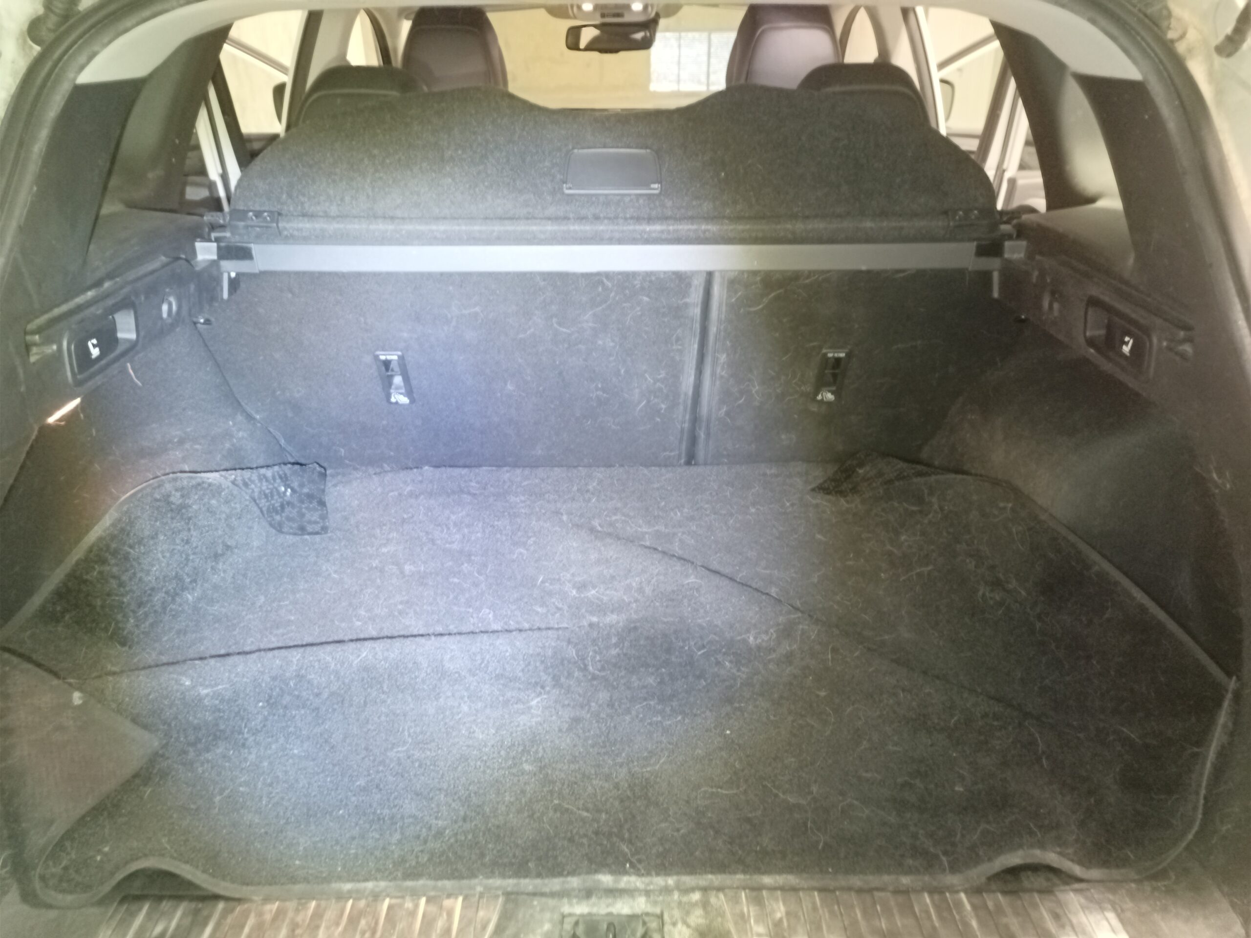 IMG_20241004_132601_228